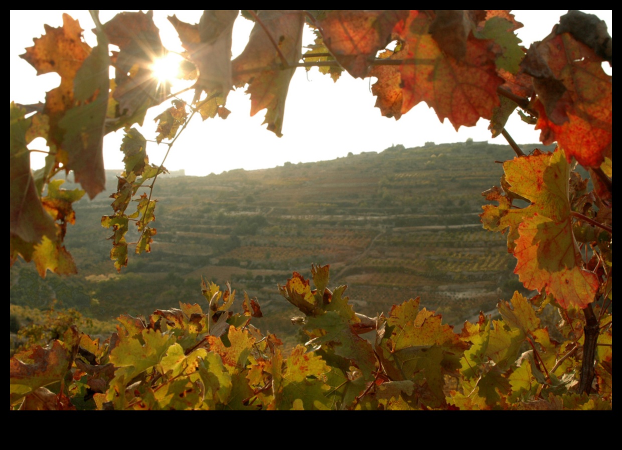 Rudens palete: rudens krāsu bagātības apbrīnošana