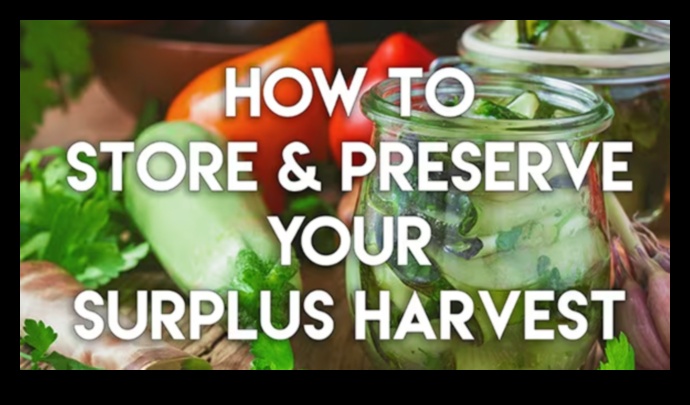 Garden Bounty: tveriet svaiguma būtību jūsu dārzeņu sulās