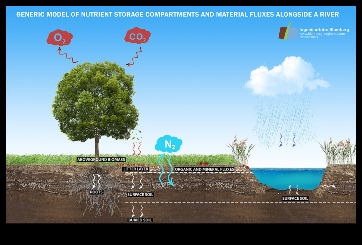 Upes un ezeri Vizuāls piedāvājums 2 Ūdens ainavas: ceļojums pa upi un ezeru