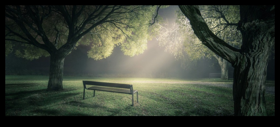 Dabas emocionālā ainava 4 Ainavas, kas izraisa emocijas: saikne ar dabas dvēseli