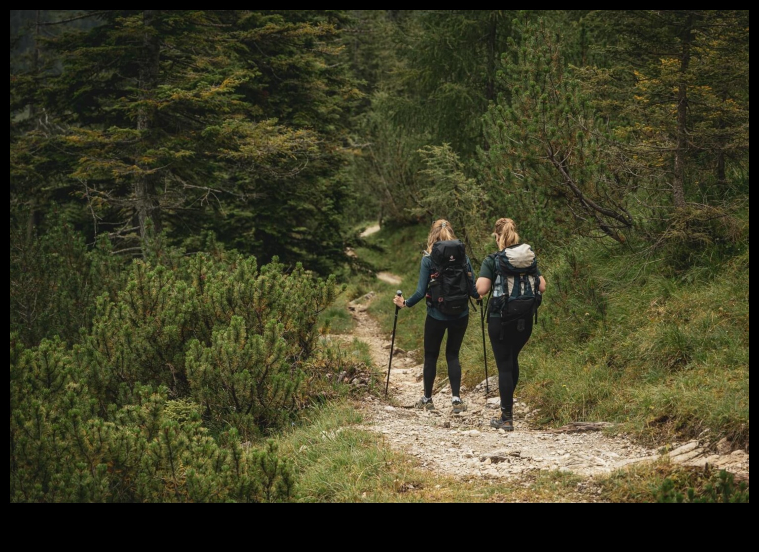 Pīķa perspektīvas: ceļvedis majestātiskām āra skatu vietām