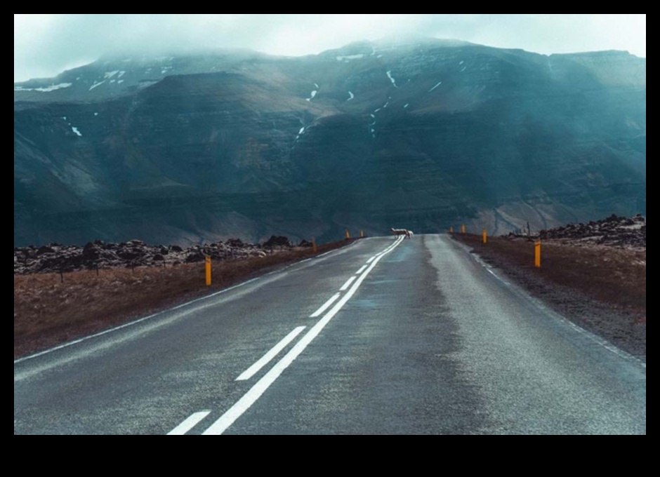 Ceļojums pretstatā ceļotāja kontrastējošiem piedzīvojumiem, tiecoties pēc sevis atklāšanas 2 Ceļojums pretstatā: ceļotāja kontrastējošie piedzīvojumi