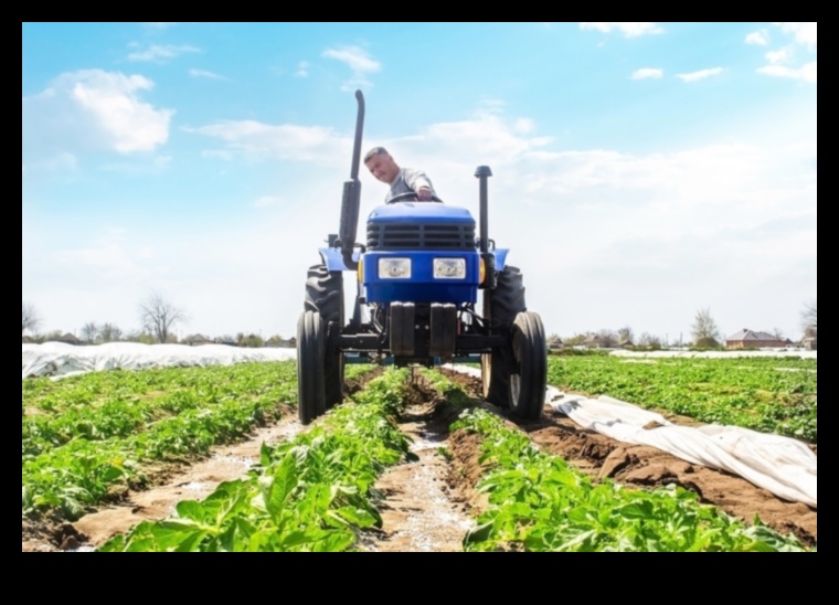 Viesabonēšana laukos: furgoni kā būtiski rīki lauksaimniecībā un lauksaimniecībā