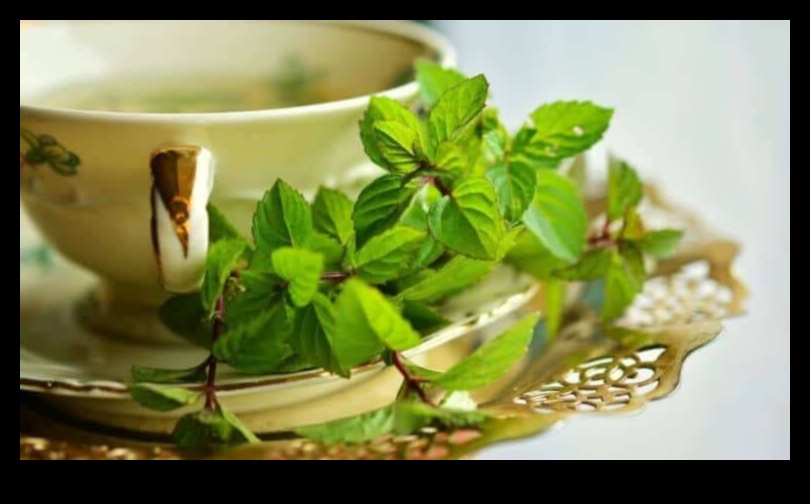 Minty Delights Piparmētru tējas uzlējumu baudījumu ceļvedis 5 Minty Delights: Piparmētru tējas uzlējumu baudījuma izpēte