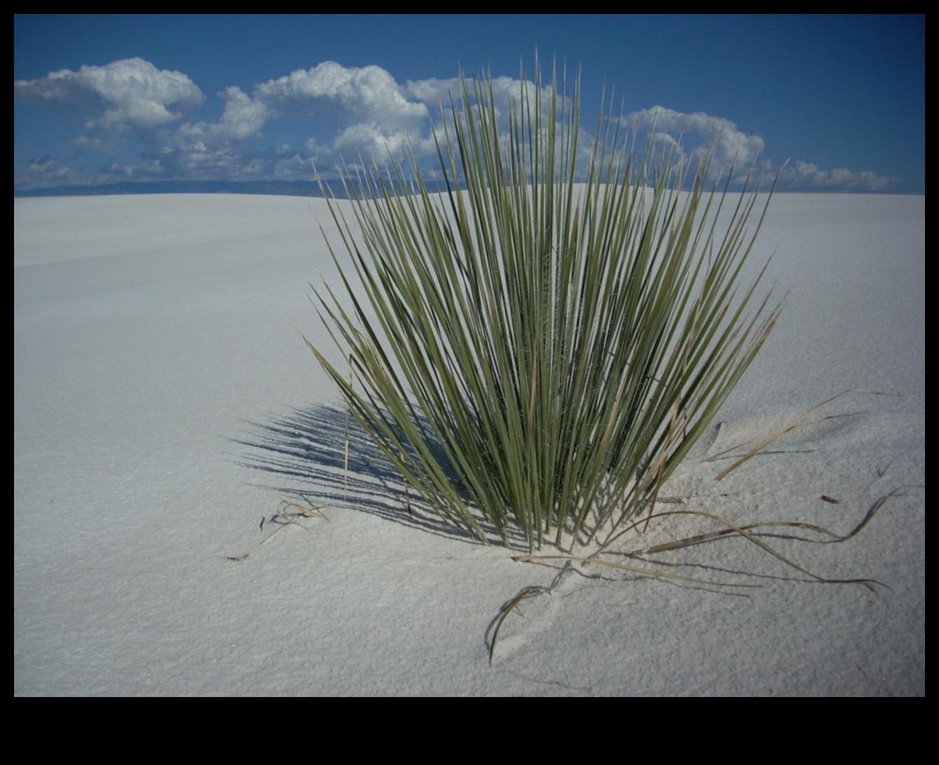 Mājas harmonija: miera atrašana tuvējās apskates vietās