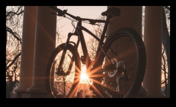 Riding High: satraukums par augstas veiktspējas velosipēdiem