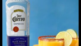 Fruity Fusion Fantasy: maģisku kombināciju radīšana svaigās sulās