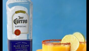 Fruity Fusion Fantasy: maģisku kombināciju radīšana svaigās sulās