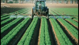 Viesabonēšana laukos: furgoni kā būtiski rīki lauksaimniecībā un lauksaimniecībā