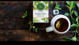 Minty Delights Piparmētru tējas uzlējumu baudījumu informācija 5 Minty Delights: Piparmētru tējas uzlējumu baudījuma izpēte