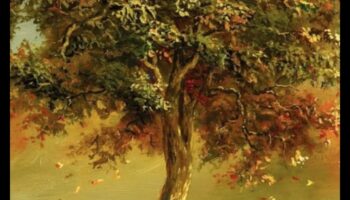 Dabas palete atklāta: krāsainu ainavu simfonija