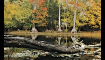 Rudens palete: rudens krāsu bagātības apbrīnošana